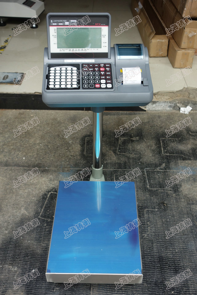 ӡӋ(j)600kg_(ti) ƽ_(ti)