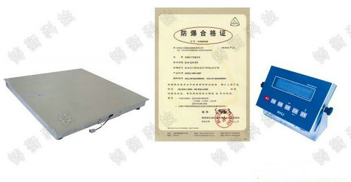 防爆電子地秤