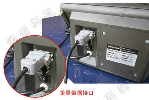 標(biāo)準(zhǔn)地秤