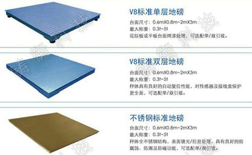 標(biāo)準(zhǔn)地秤