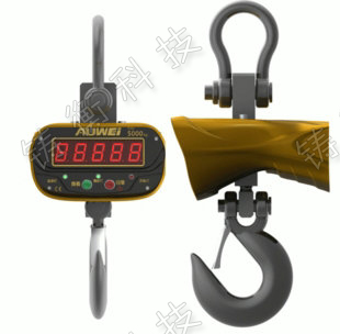 直視吊鉤秤